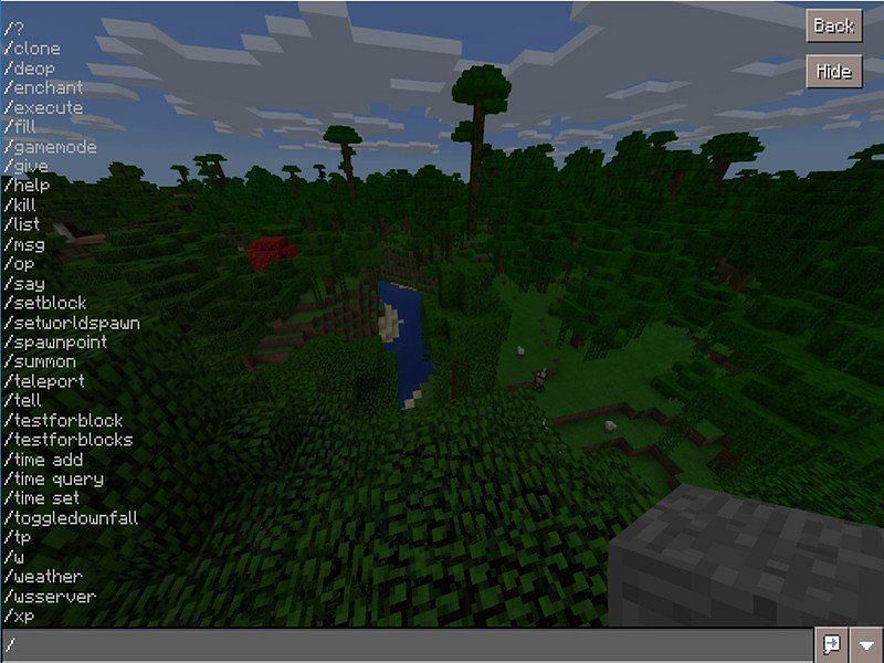 The / key is important for players to input commands.  (Picture via Mojang)