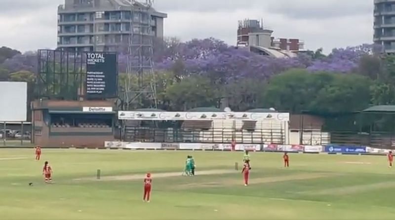 Ireland Women&#039;s Amy Turner scored a record-breaking hundred on Monday.