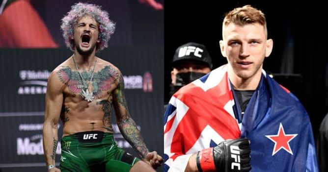 "He should be more of a star" - Sean O'Malley believes 'stud' Dan Hooker 'deserves more popularity' in the MMA world