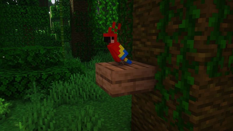 A parrot in the game (Image via Minecraft)