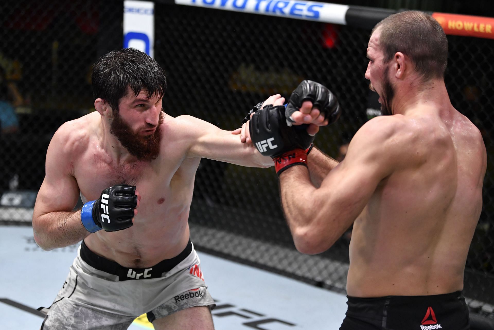 Magomed Ankalaev has all that it takes to become a UFC title contender at 205lbs