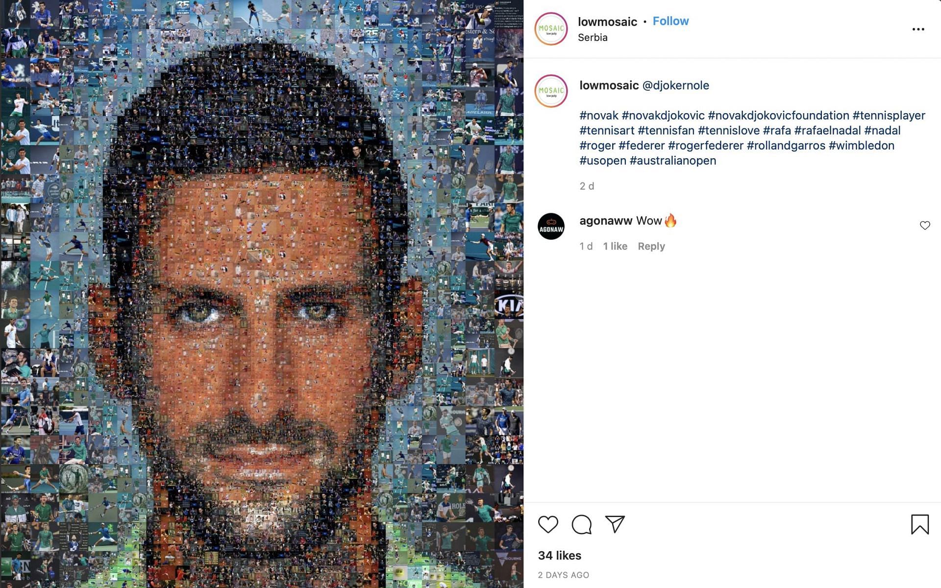 Novak Djokovic's mosaic created by @lowmosaic