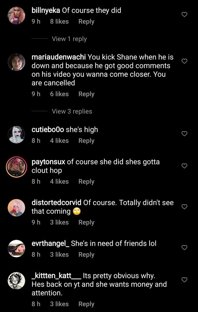 Internet reacts to Trisha Paytas supporting Shane Dawson 1/3 (Image via Instagram/defnoodles)