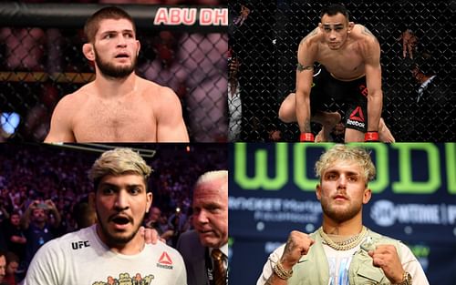 Khabib Nurmagomedov (top left); Tony Ferguson (top right); Dillon Danis (bottom left); Jake Paul (bottom right)