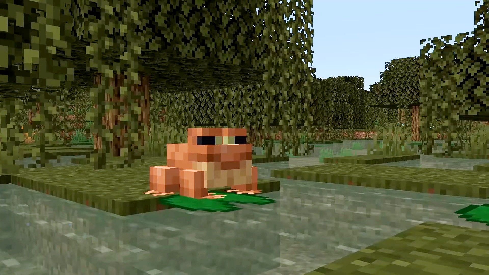 Frogs will typically sit on lily pads, which are found in swamps (Image via Minecraft)