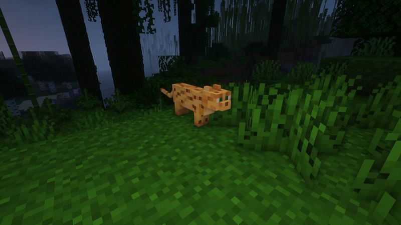 An ocelot (Image via Minecraft)