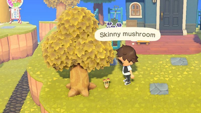 Mushrooms can appear around trees all over the island. (Image via Nintendo)