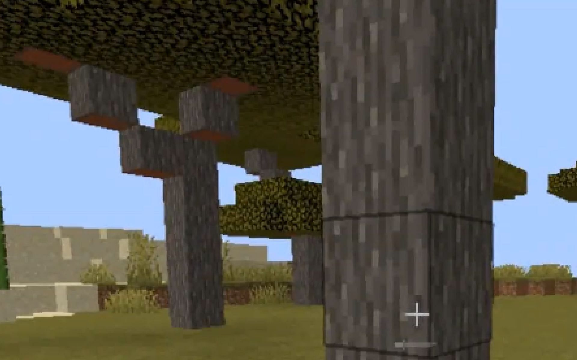 An image of an acacia tree in-game. (Image via Mojang Studios)