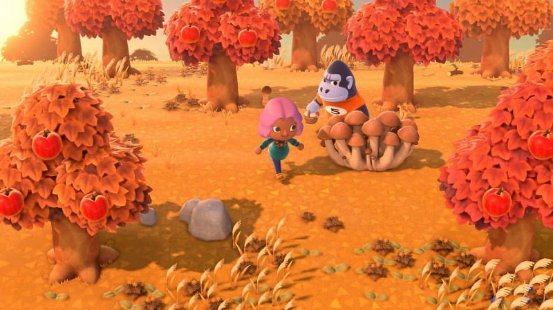 The season of Autumn has officially begun and brings mushrooms with it. (Image via Nintendo)