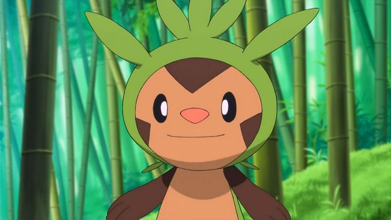 Chespin es uno de los pocos Pokémon principiantes que aún no ha tenido un día comunitario (Imagen a través de The Pokémon Company)