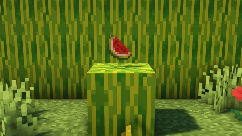 Uses of melons (Image via Minecraft)
