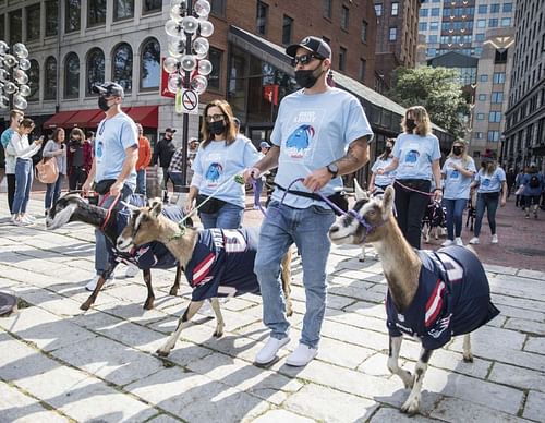 Bud Light brought fans together for a once-in-a-lifetime experience with The G.O.A.T. Parade, marching a herd of goats through downtown Boston and providing fans an opportunity to commemorate, celebrate and have fun ahead of the much anticipated NFL match-up between the New England Patriots and Tampa Bay Buccaneers on Saturday Oct. 2, 2021, in Boston. (Scott Eisen AP Images for Anheuser-Busch) AP