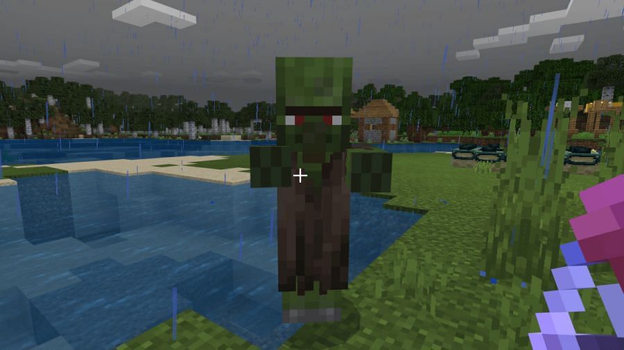 Zombie Villager (Imagen a través de la guía de jugador profesional)