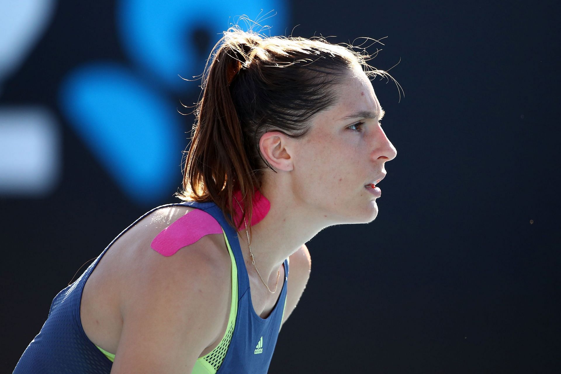 Andrea Petkovic is in the midst of a solid season.