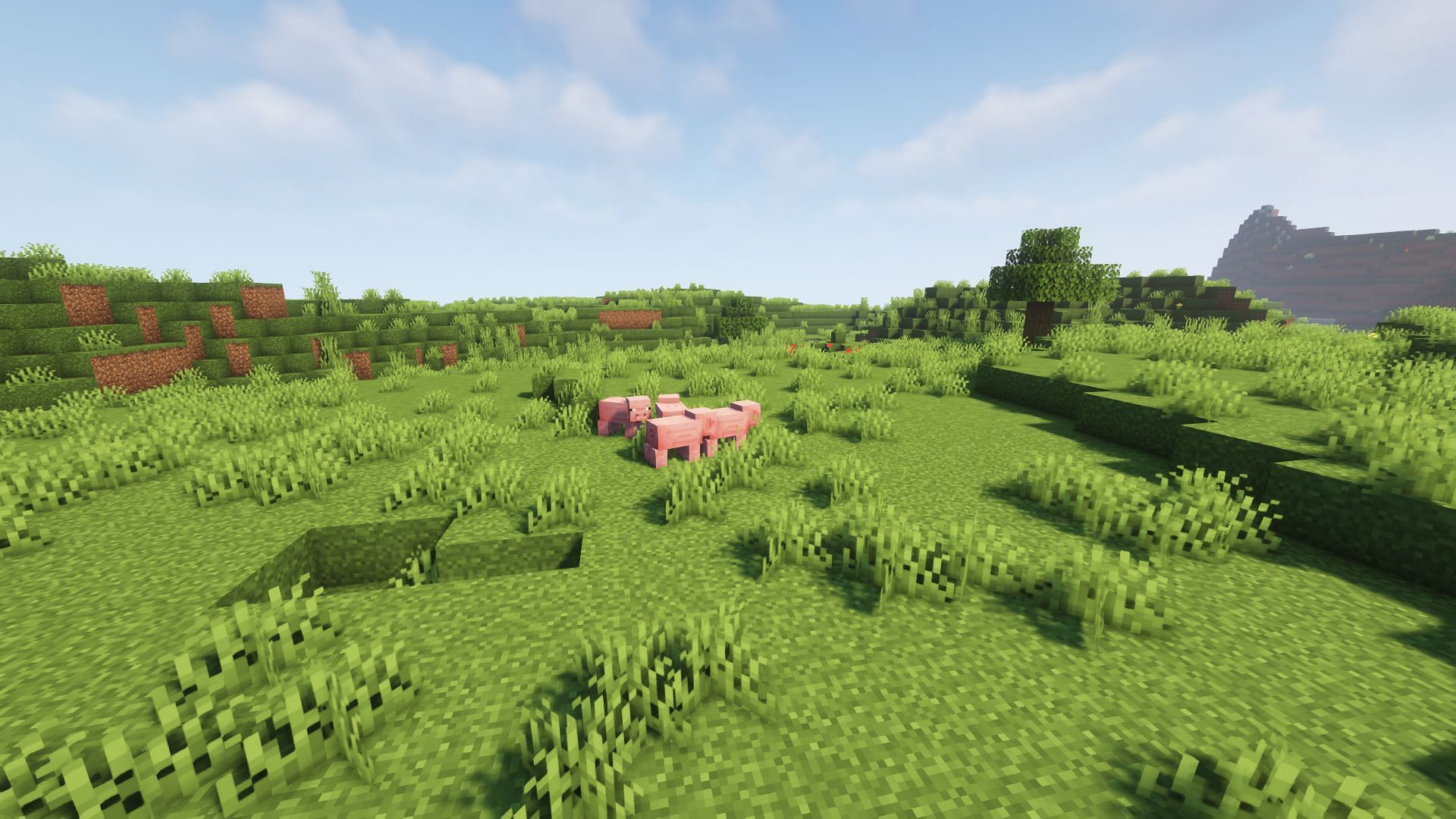 Plains biome (Image via Minecraft)