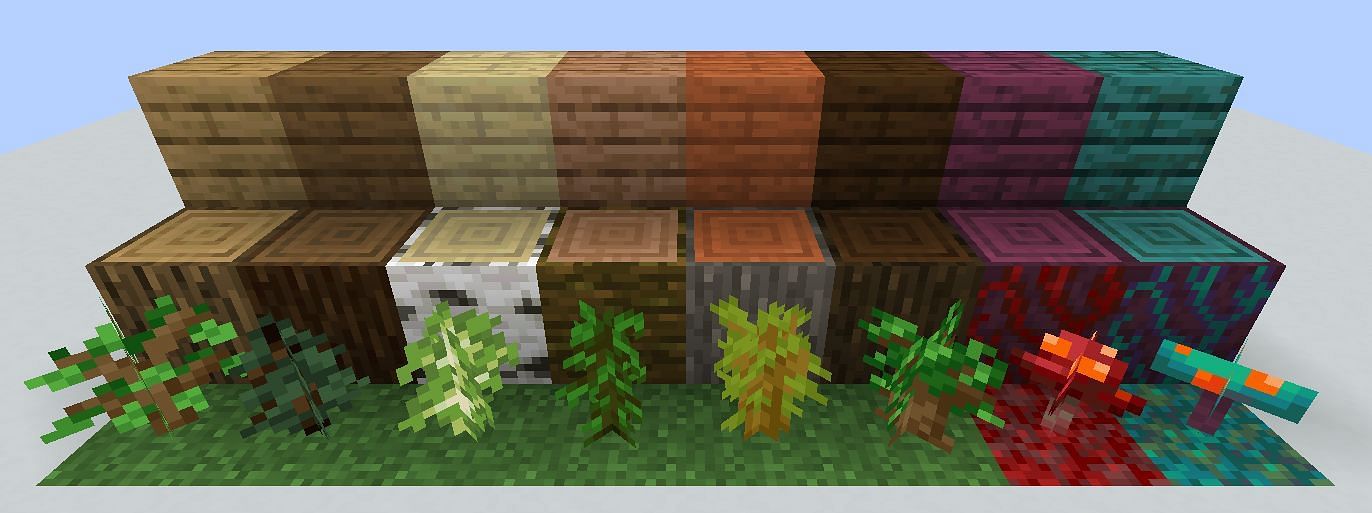 Different types of logs and planks (Image via Minecraft)