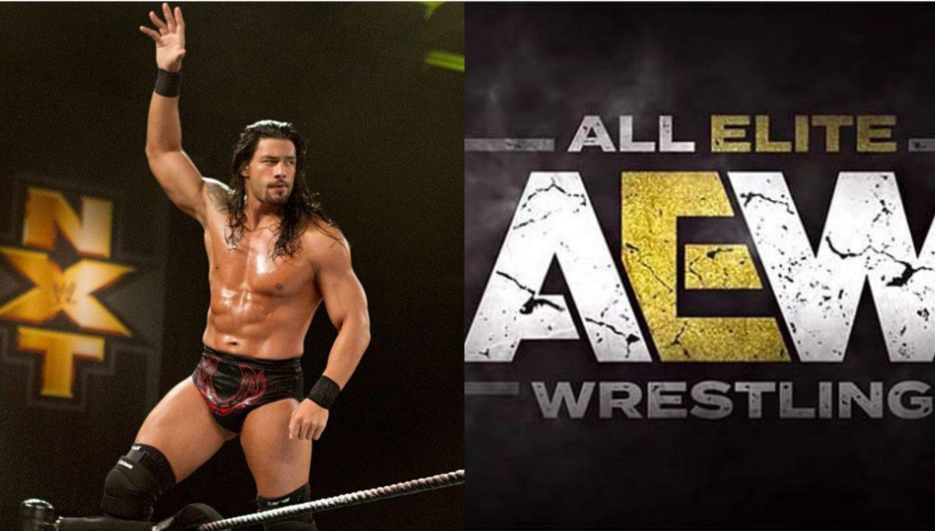 Roman Reigns had a brief stint with NXT!