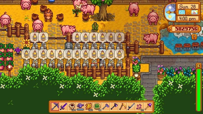 Jak zrobić olej truflowy w Stardew Valley