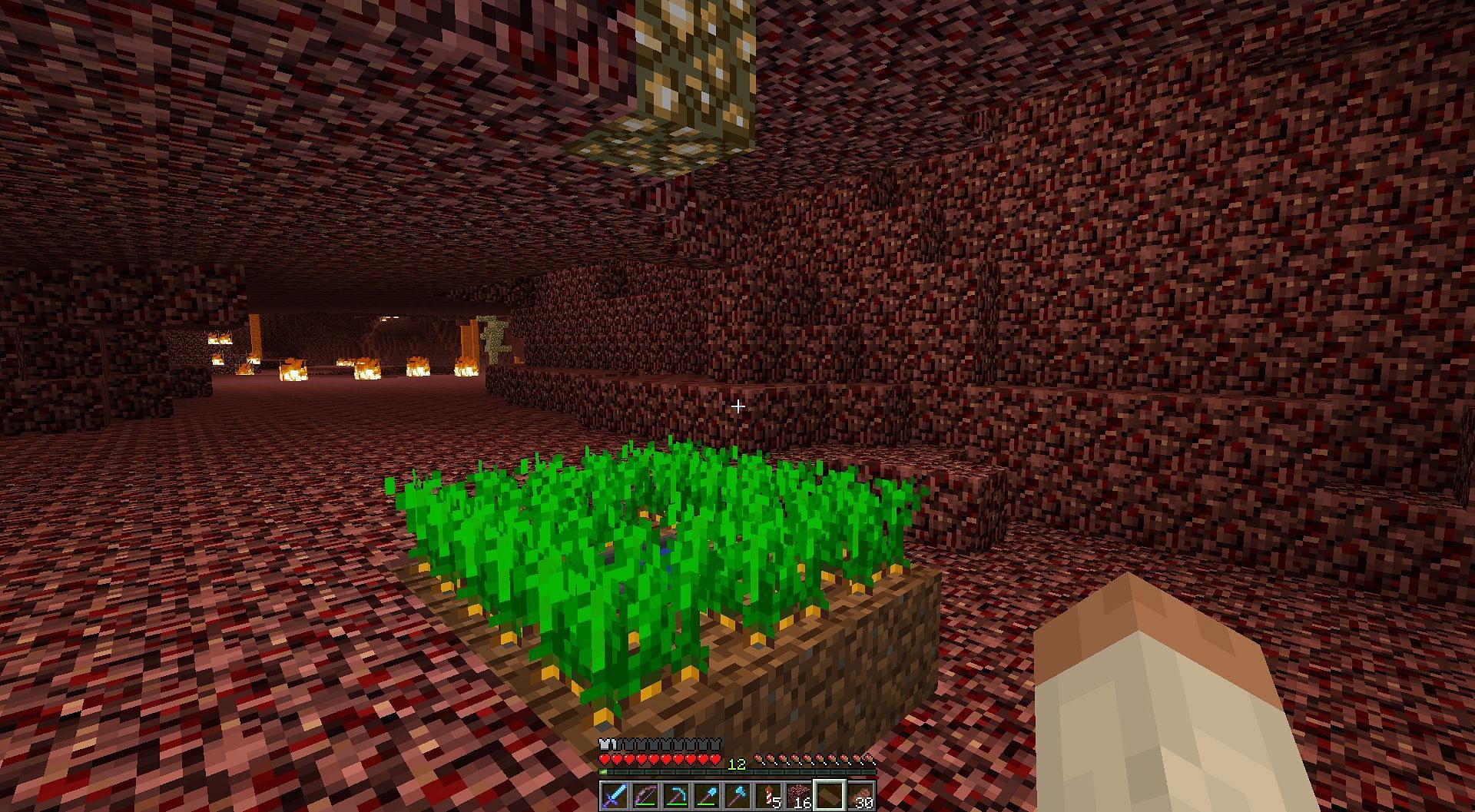 Even in the inhospitable Nether dimension, crops can grow healthily (Image via Mojang).