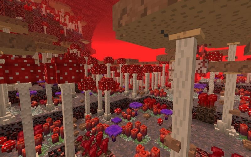 A new biome in the Better Nether mod (Image via Minecraft)