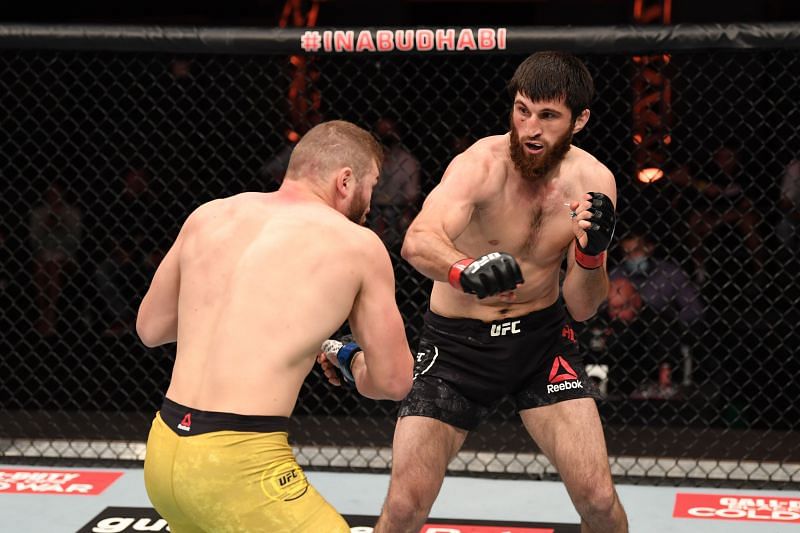Can Magomed Ankalaev leapfrog to the front of the queue in the UFC light-heavyweight division?
