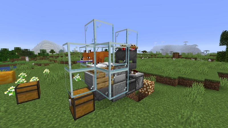 Food farms (Image via Minecraft)