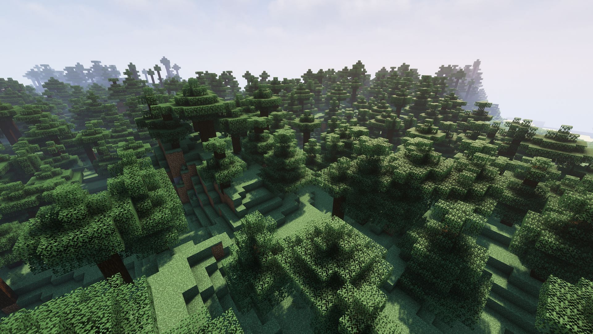 Taiga forest (Image via Minecraft)