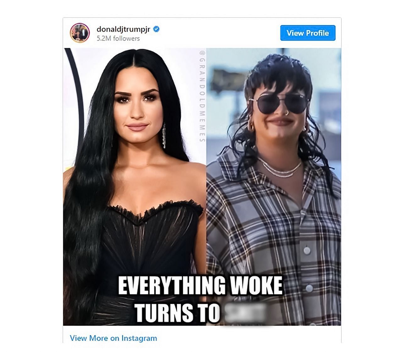 Donald Trump Jr.&#039;s meme about Lovato (Image via Instagram/donaldjtrumpjr)
