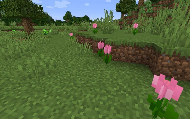 An image of several of Botania&#039;s flowers in a modded Minecraft game. (Image via Mojang).
