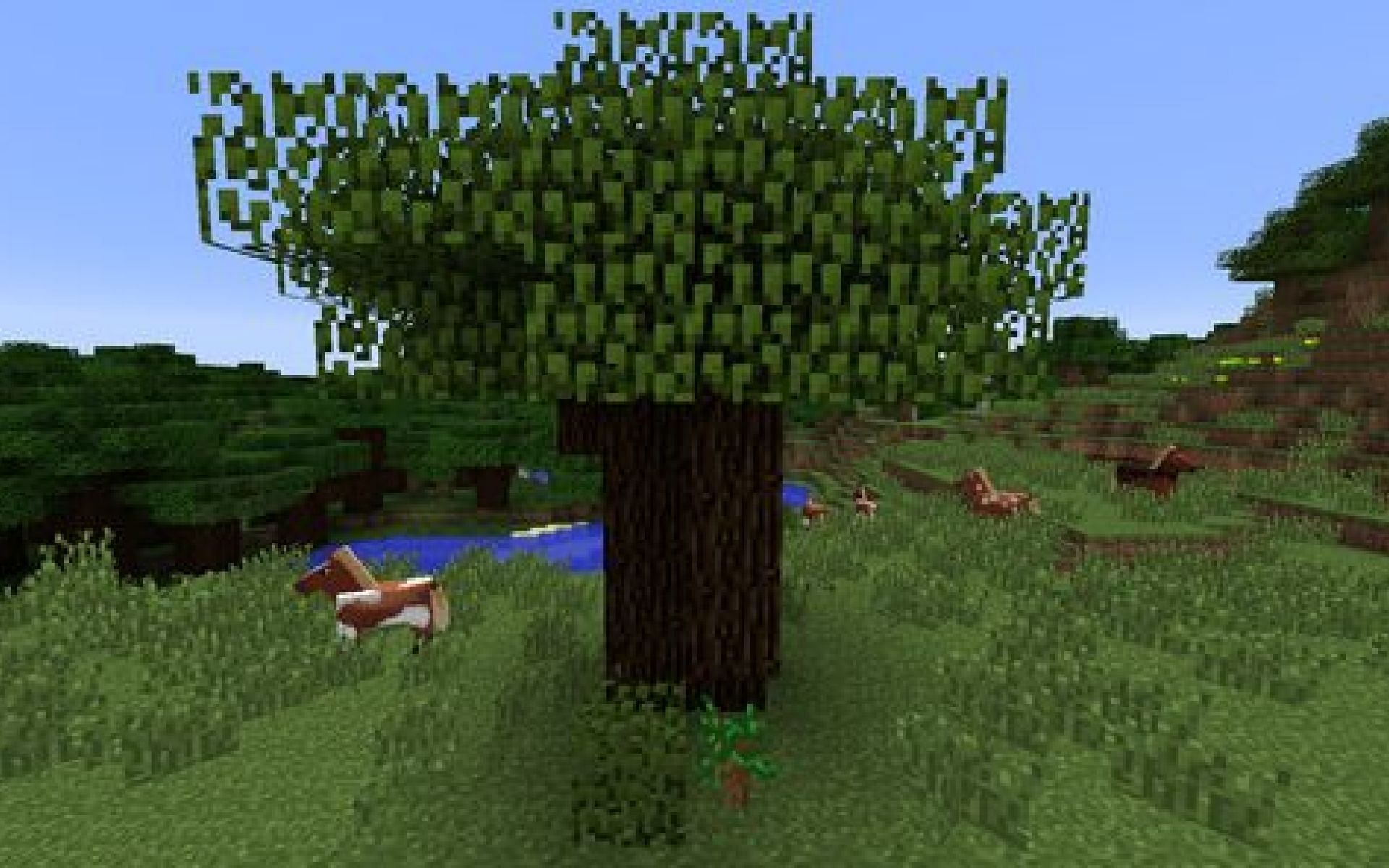 A dark oak tree in Minecraft. (Image via Mojang Studios)