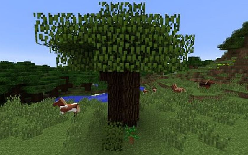 A dark oak tree in Minecraft. (Image via Minecraft)