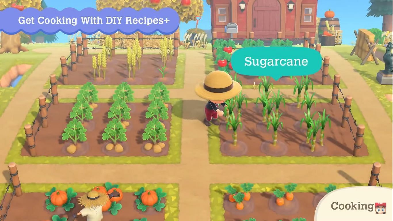 Nintendo will release a bunch of new vegetables and crops on November 5th, including potatoes, tomatoes, sugarcane, wheat, and carrots. (Image via Nintendo)