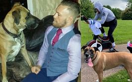 Photos: Conor McGregor revisits memories after the passing of his pet dog Hugo