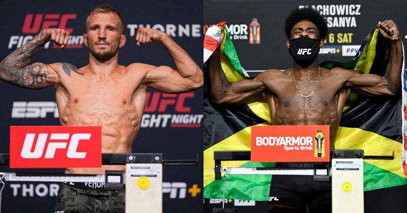 UFC bantamweight champion Aljamain Sterling (right) and former titleholder T.J. Dillashaw (left)