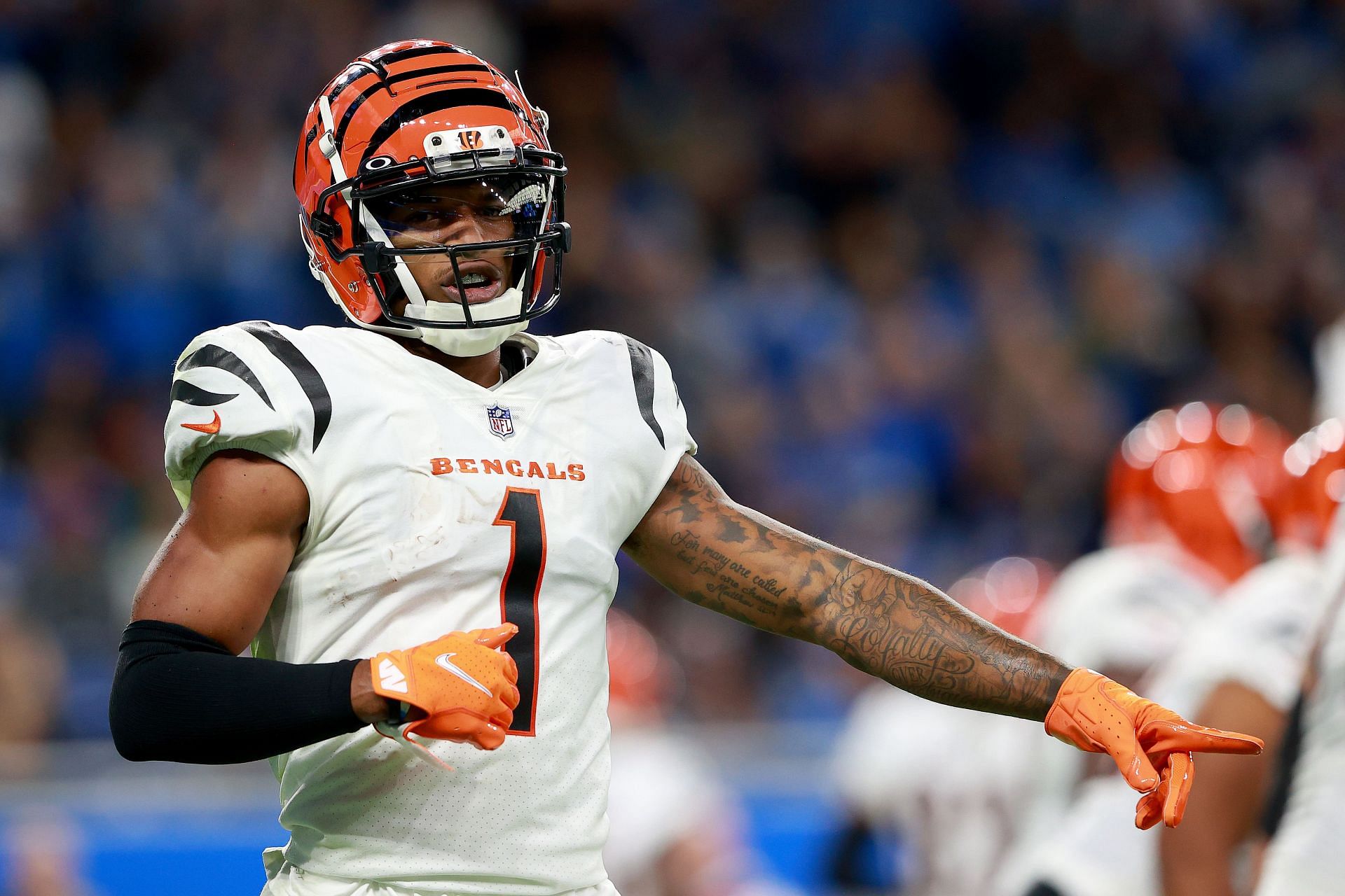 Cincinnati Bengals vs. Detroit Lions