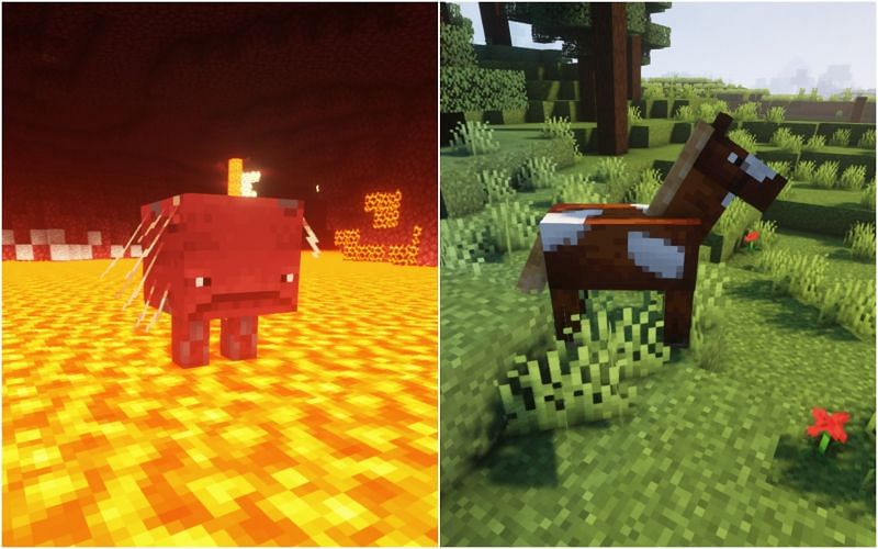 Striders vs. Horses (Image via Minecraft)