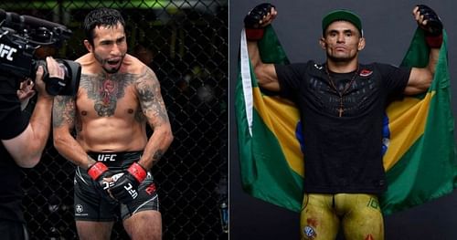 Alejandro Perez (left) and Douglas Silva de Andrade (right) [Image credits: @ufc and @d.silvamma on Instagram]