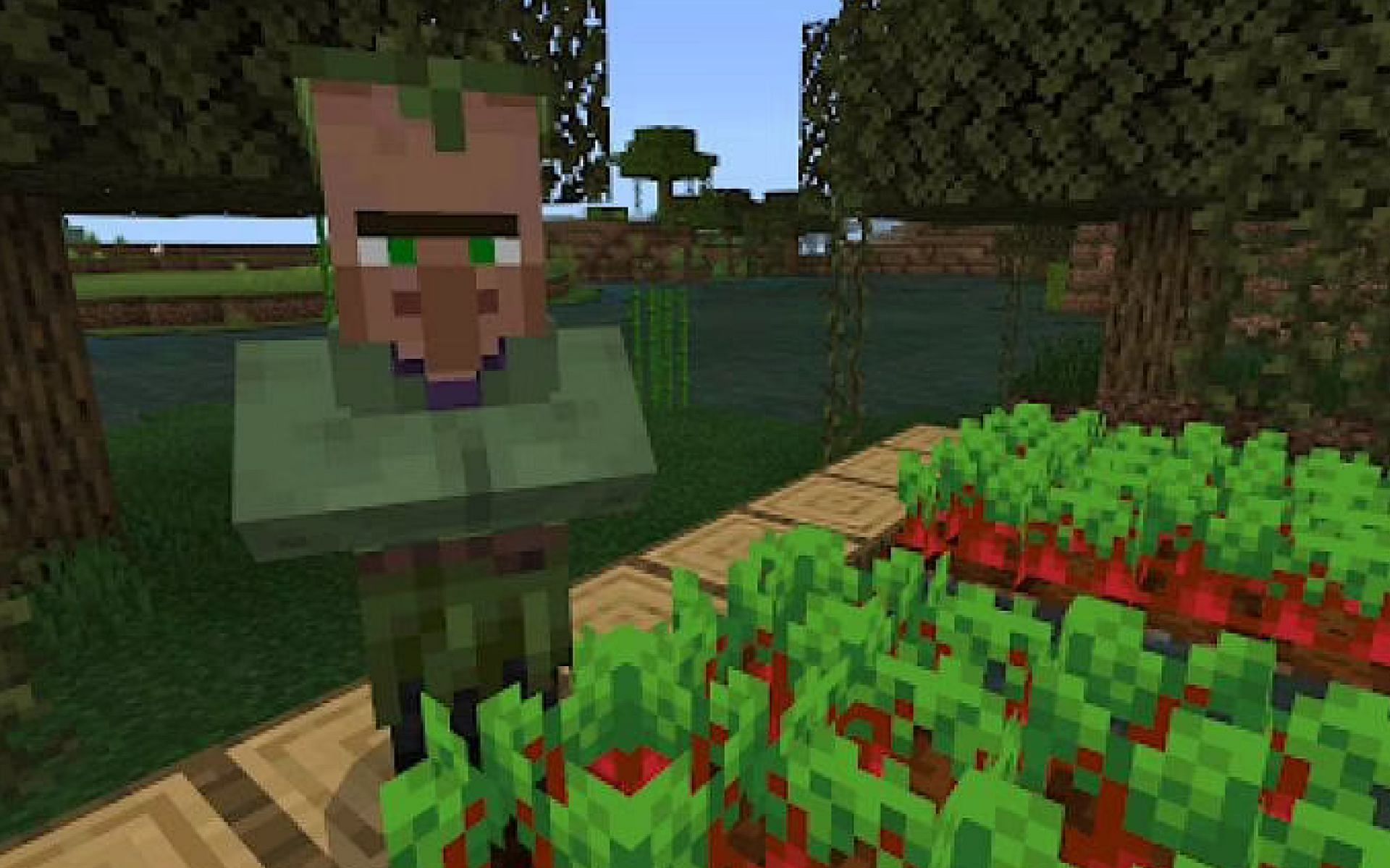 A swamp villager in-game (Image via Minecraft)