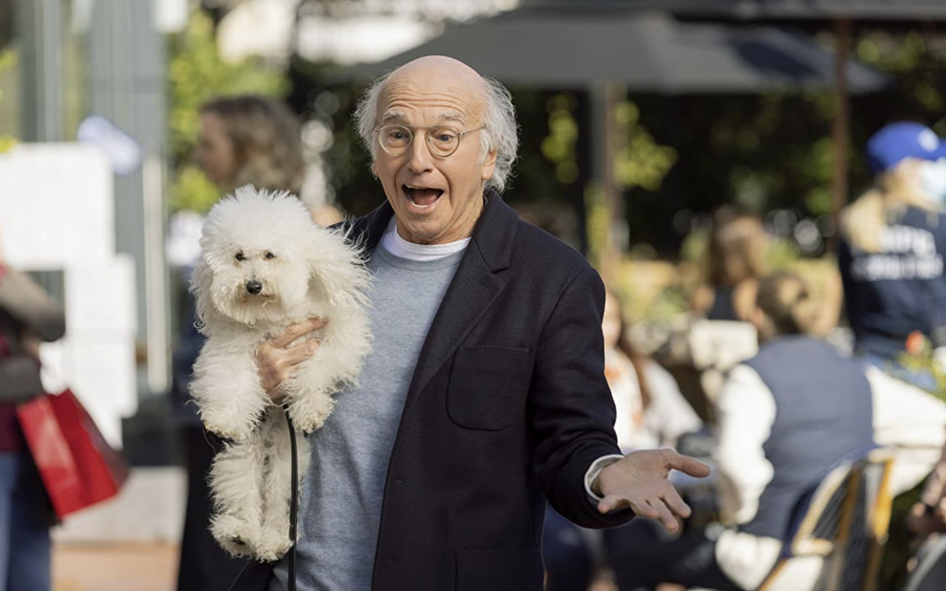 10 Best Curb Your Enthusiasm Guest Stars, Ranked