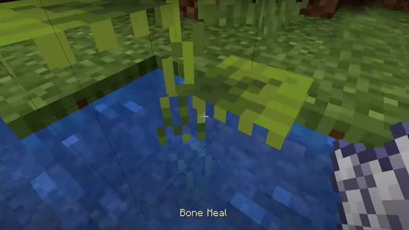 The leaves won&#039;t grow without bonemeal applied. (Image via Mojang)