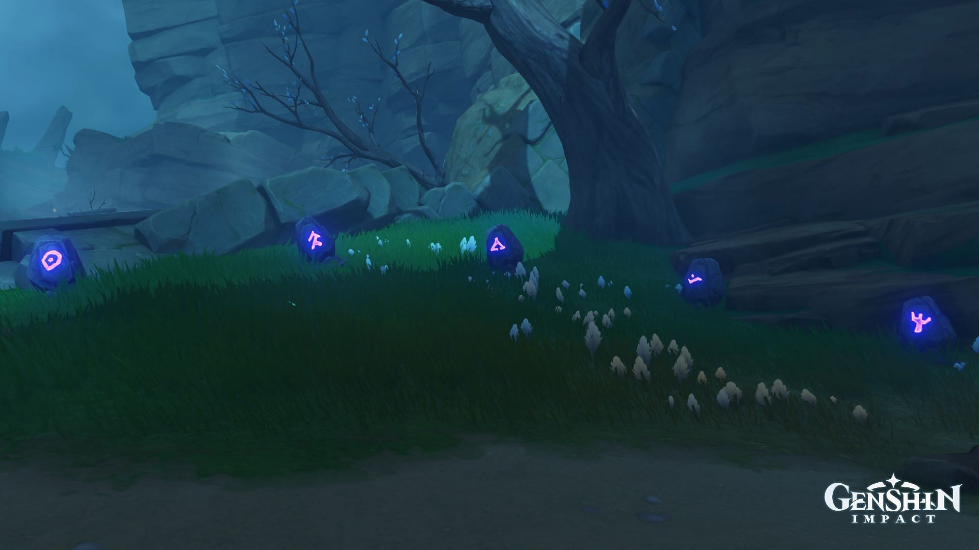 Mystery of the stones in the World Quest(Image via miHoYo)