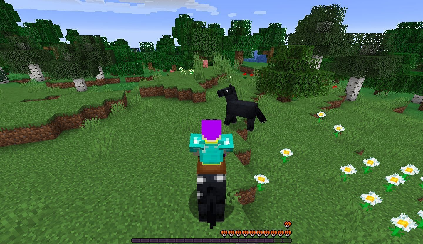 One of the many rideable Minecraft mobs is the horse (Image via Minecraft)