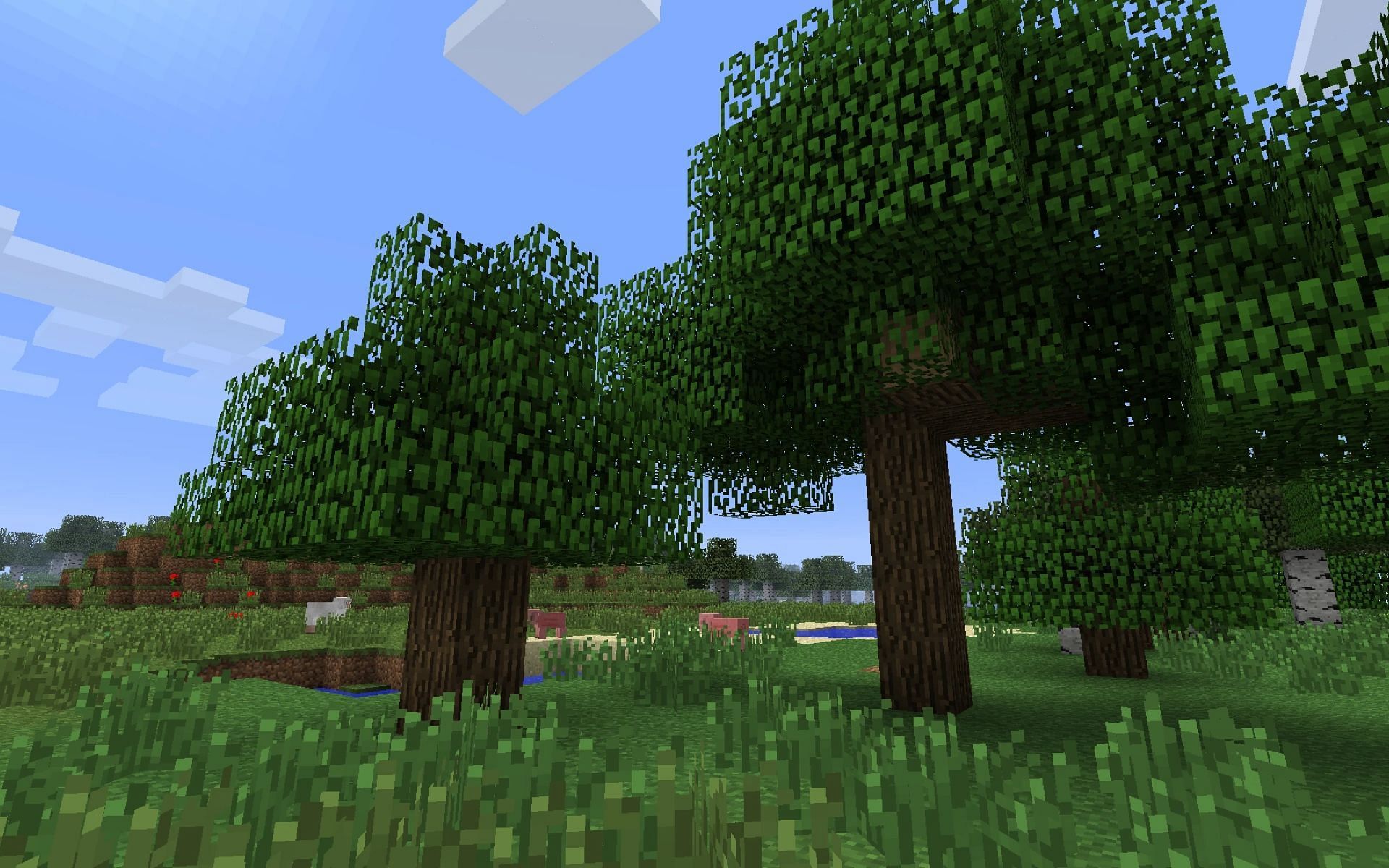 how-many-types-of-trees-are-there-minecraft