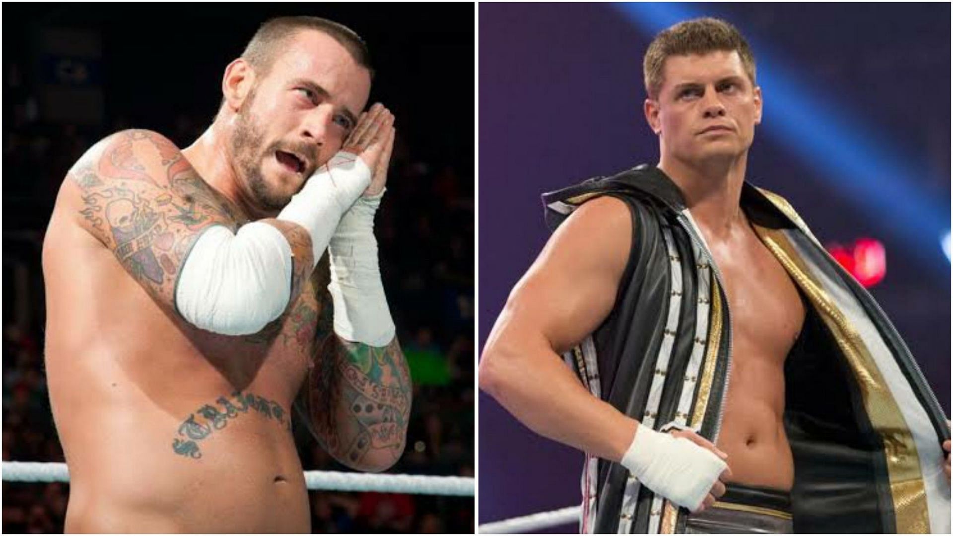Cody Rhodes and CM Punk are currently part of AEW.