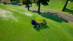 Where to find Wolves in Fortnite Chapter 2 Season 8
