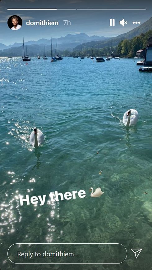 The picture of swans that Dominic Thiem posted on Instagram