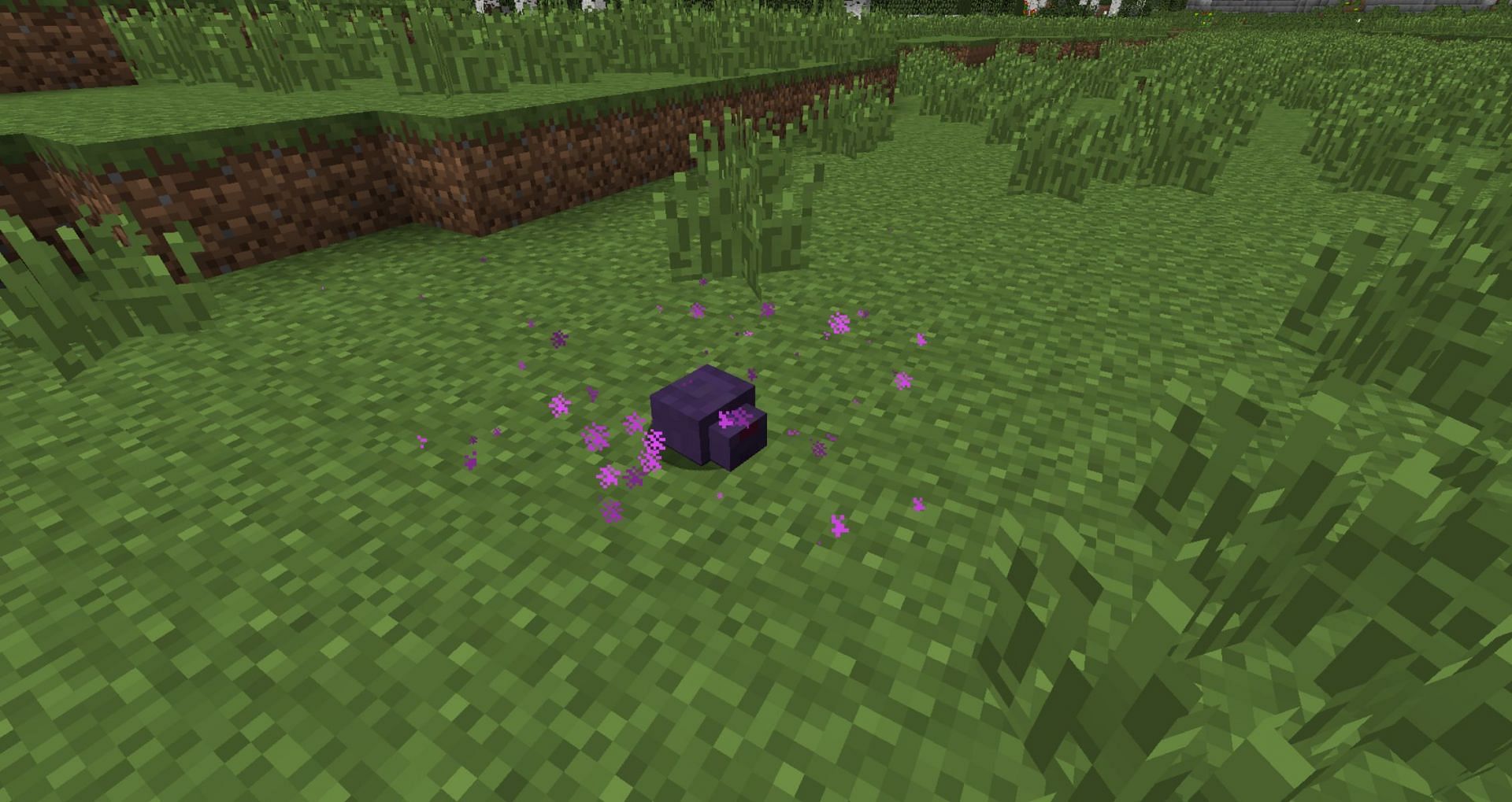 Endermite, Minecraft Mobs