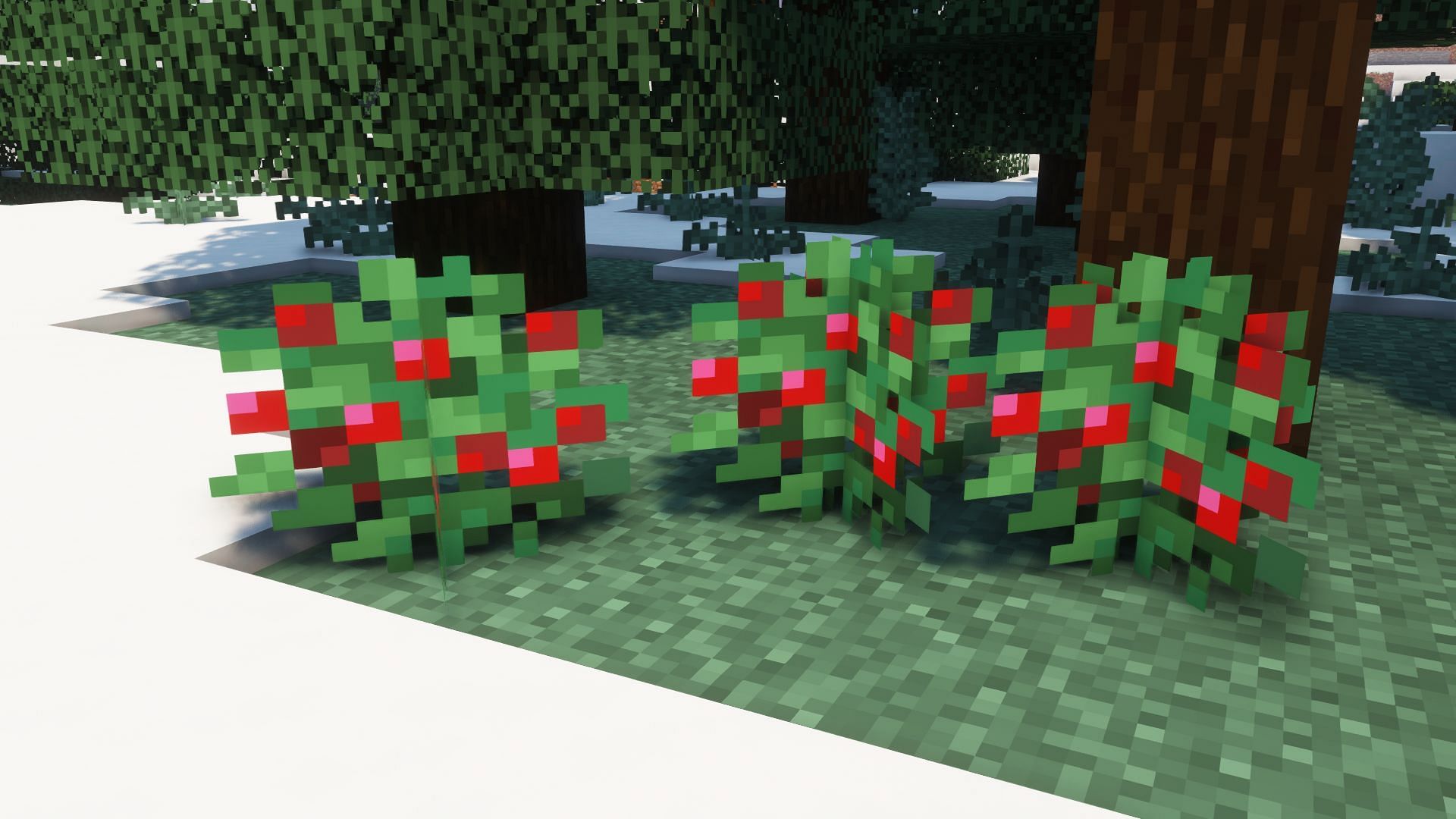 Sweet berries in snowy taiga (Image via Minecraft)