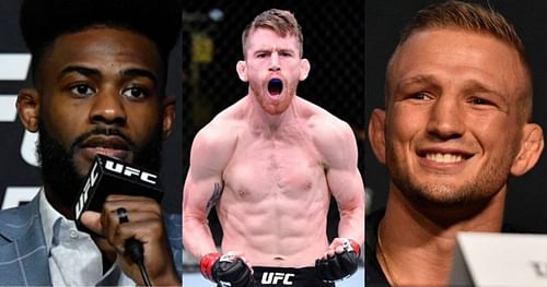 Aljamain Sterling (left); Cory Sandhagen (center); TJ Dillashaw (right)