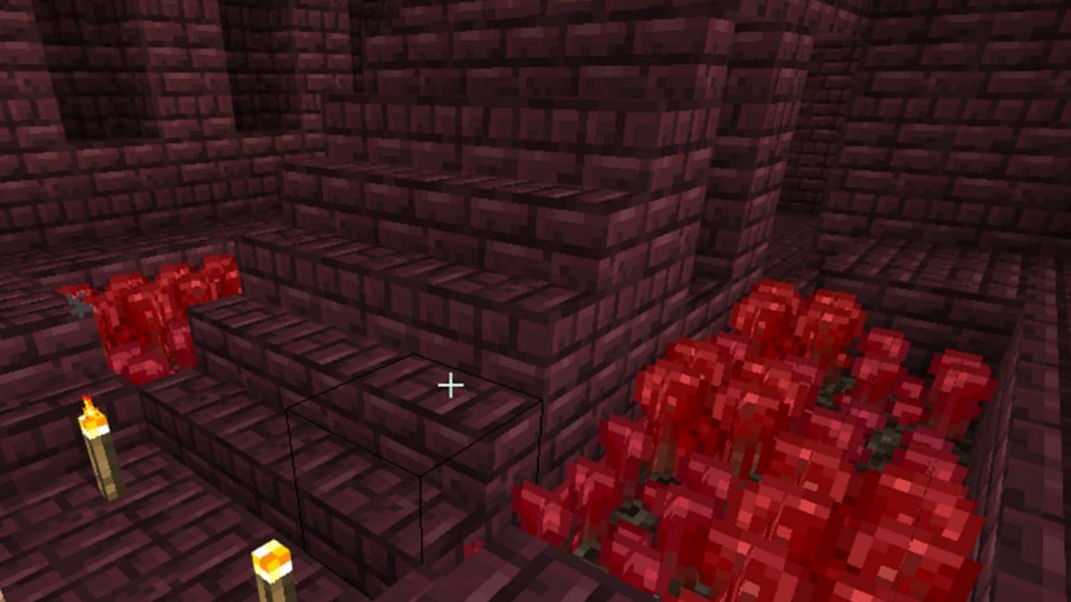 Nether warts in Nether (Image via Mojang)